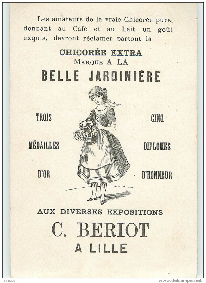 CHROMO - CHICOREE - BELLE JARDINIERE - BLERIOT à LILLE -  RACE De CHIEN - POINTER DEVONSHIRE - Otros & Sin Clasificación