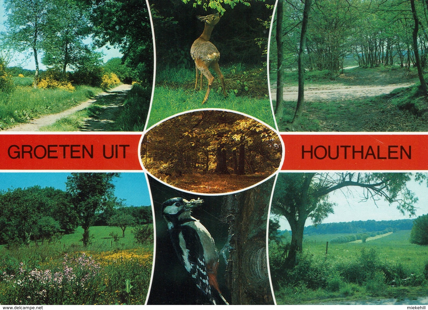 HOUTHALEN-GROETEN UIT - Opglabbeek