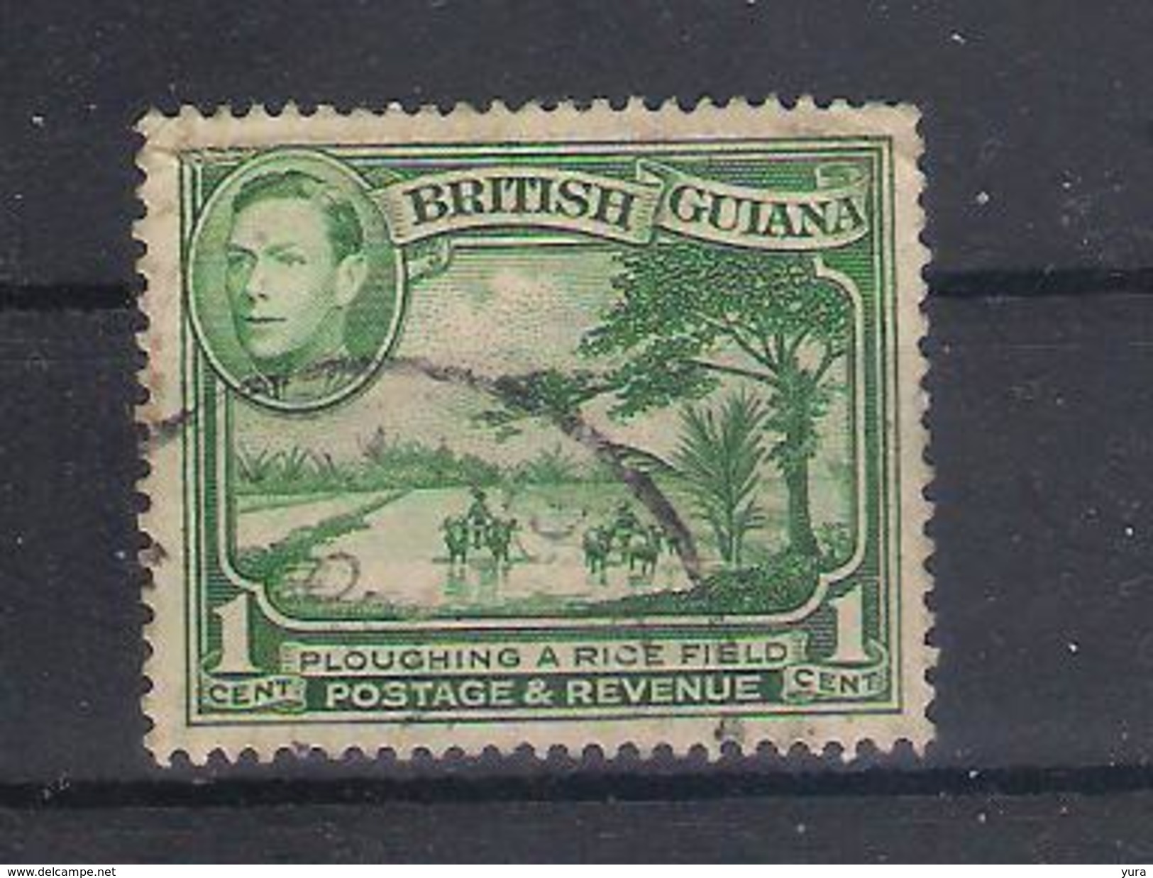 British Guiana 1949 Mi Nr 176D Perfor.14:13 (a3p22) - British Guiana (...-1966)