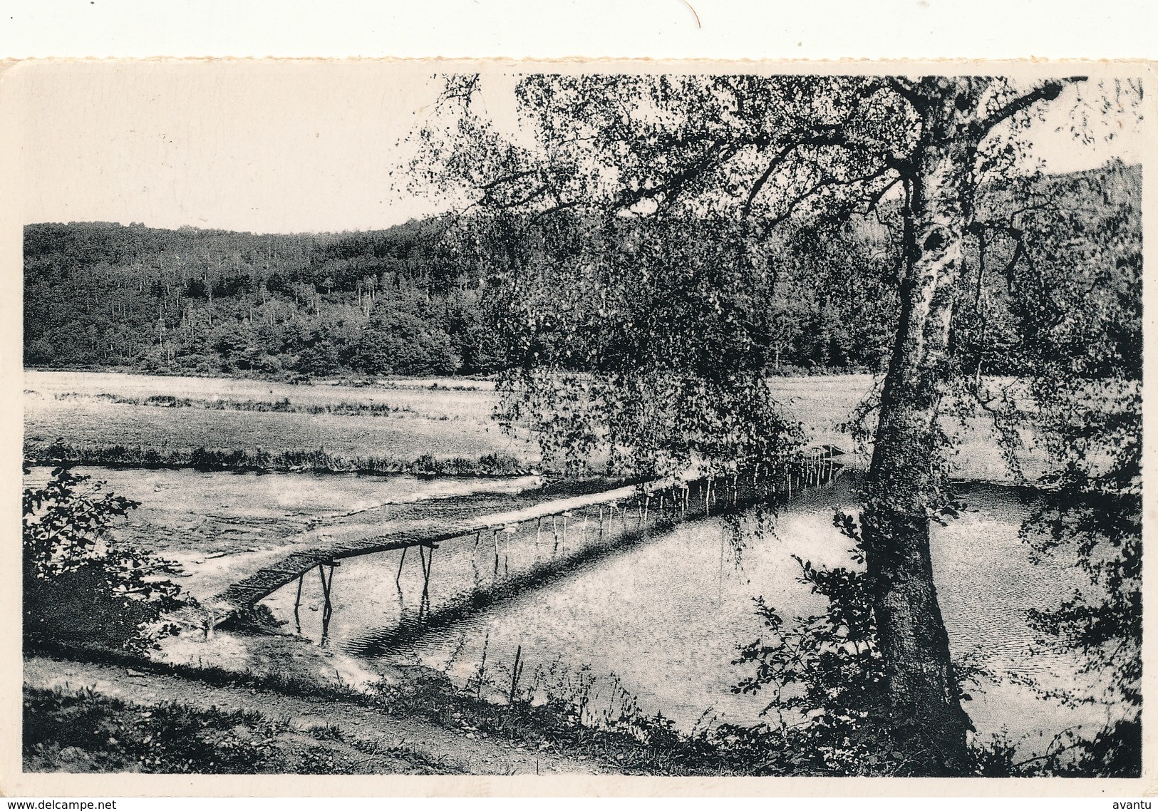 LAFORET SUR SEMOIS / VRESSE /  LE PONT DE CLAIES - Vresse-sur-Semois