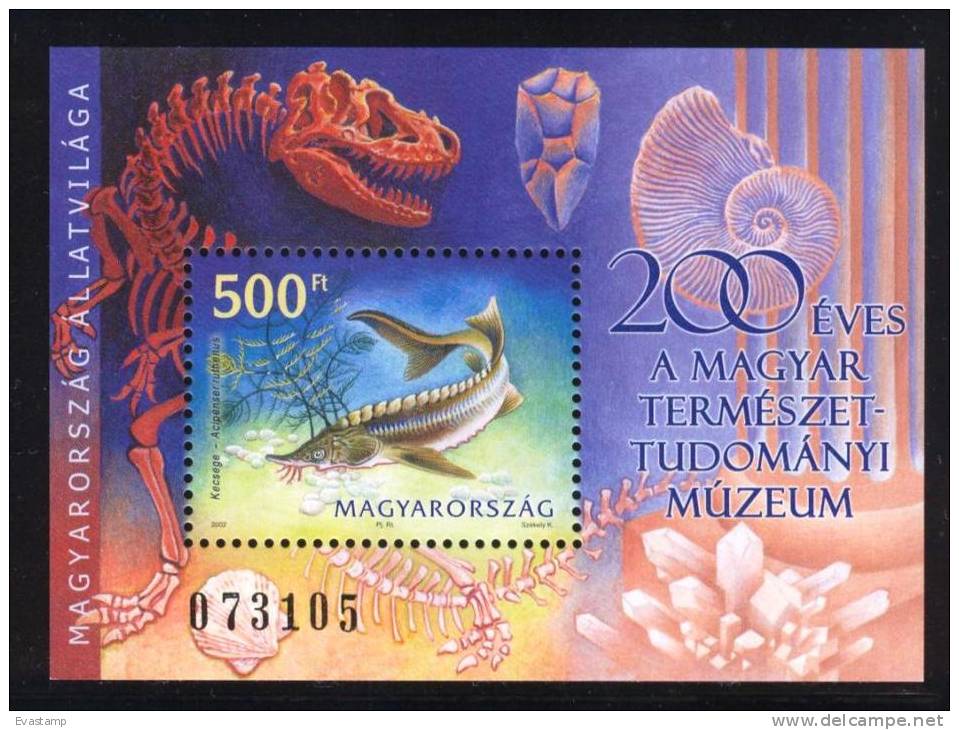 HUNGARY - 2002. S/S - Hungarian Animals / Sterlet / Fish  MNH!! Mi Bl.272. - Unused Stamps