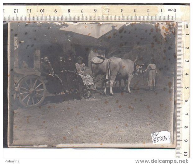 PO6531D# FOTOGRAFIA GRUPPO AGRICOLTORI SU CARRO BUOI RICORDO Primo '900/AGRICOLTURA - Mestieri