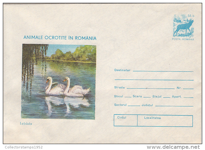 54381- SWANS, DEER, BIRDS, COVER STATIONERY, 1977, ROMANIA - Schwäne