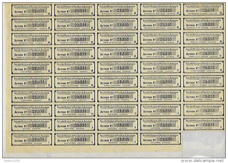 Action Société Miniere Et Fonciere Du Bandama  Numéro23335 Année 1909 - Autres & Non Classés