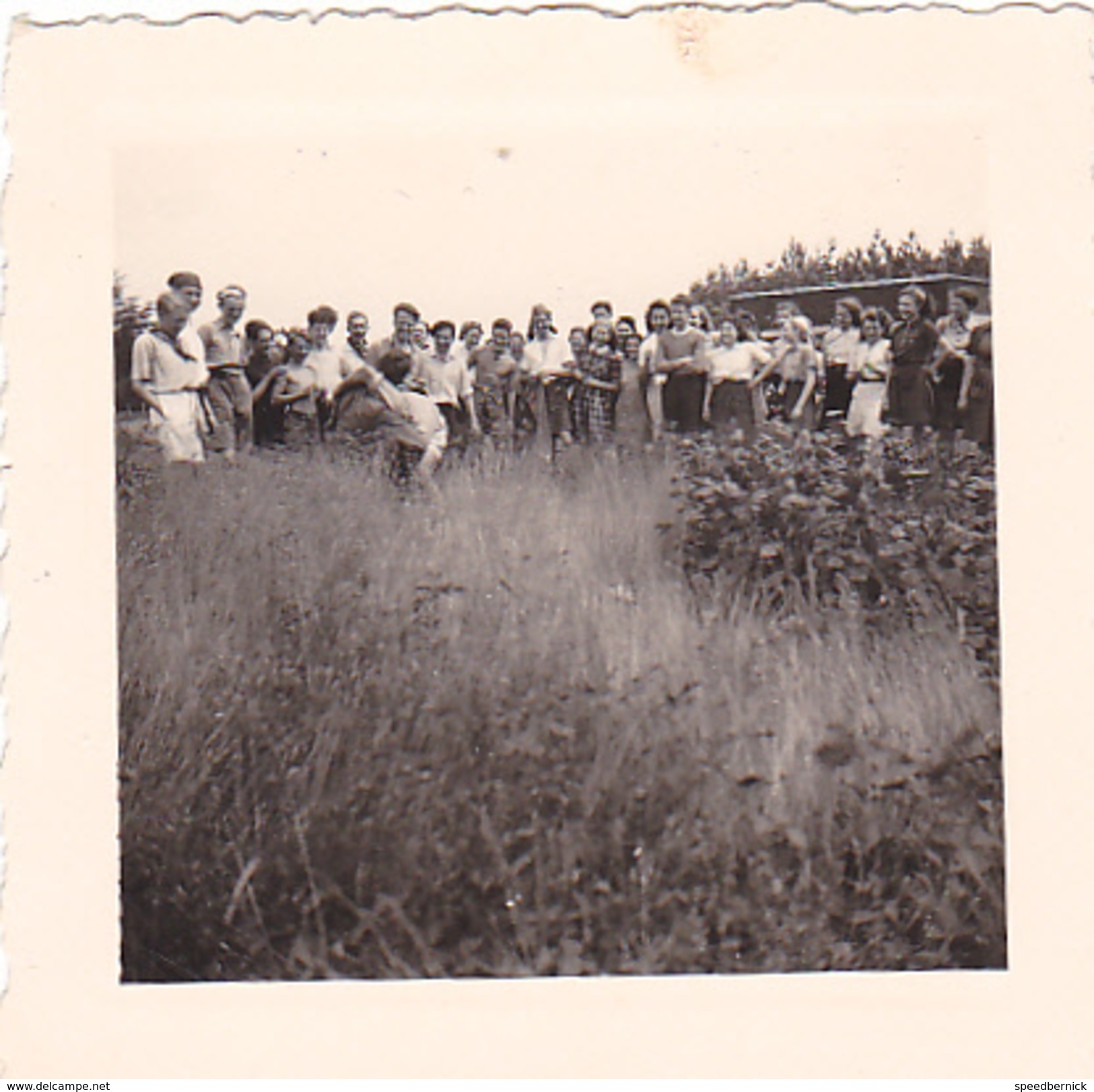 25963 Six 6 Photo BELGIQUE  - Camp Ecole  -scout -scoutisme -avant 1945 -repas Ferme - Guerre, Militaire