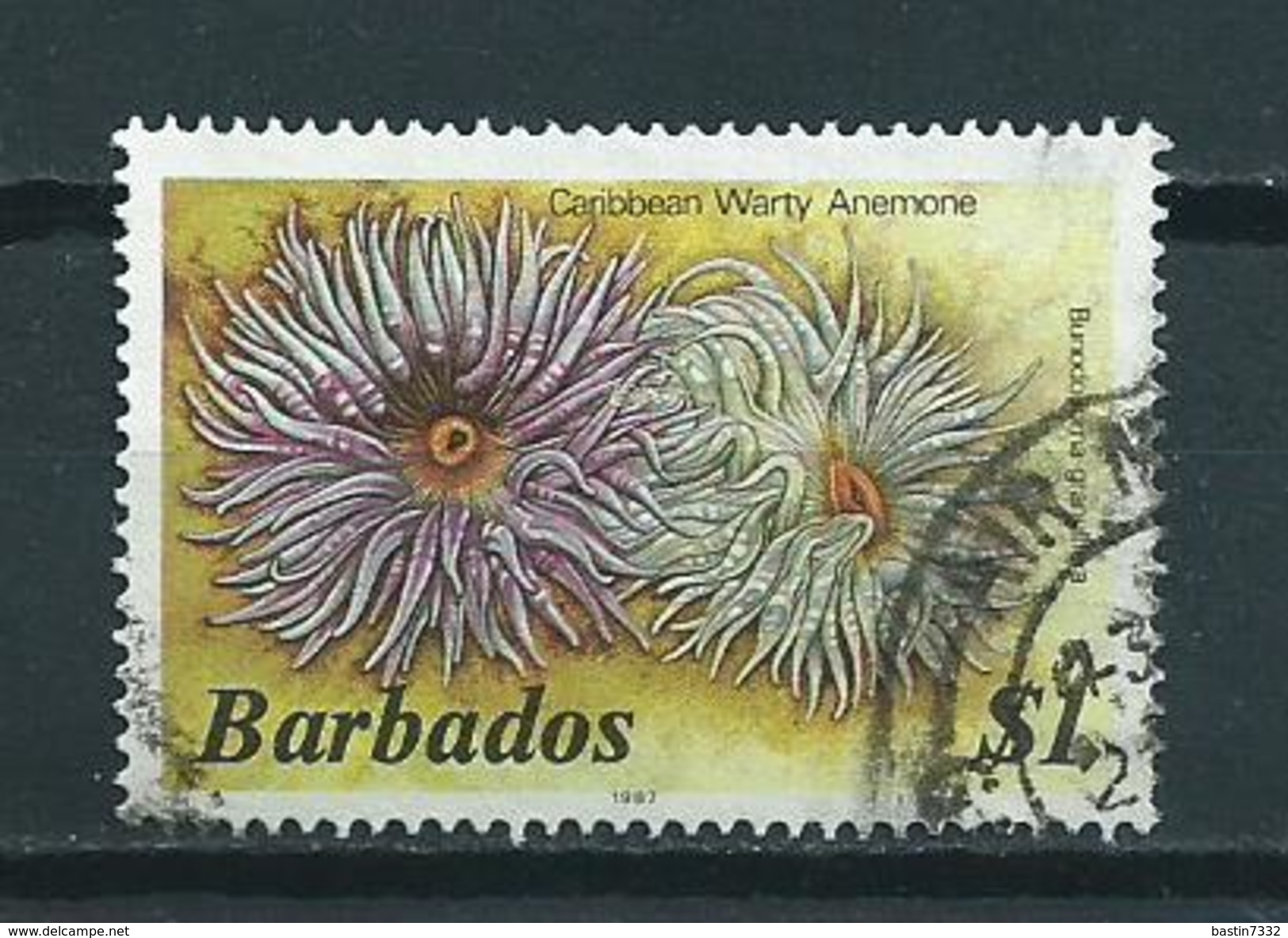 1987 Barbados $1.00 Sea Anemone Used/gebruikt/oblitere - Barbados (1966-...)