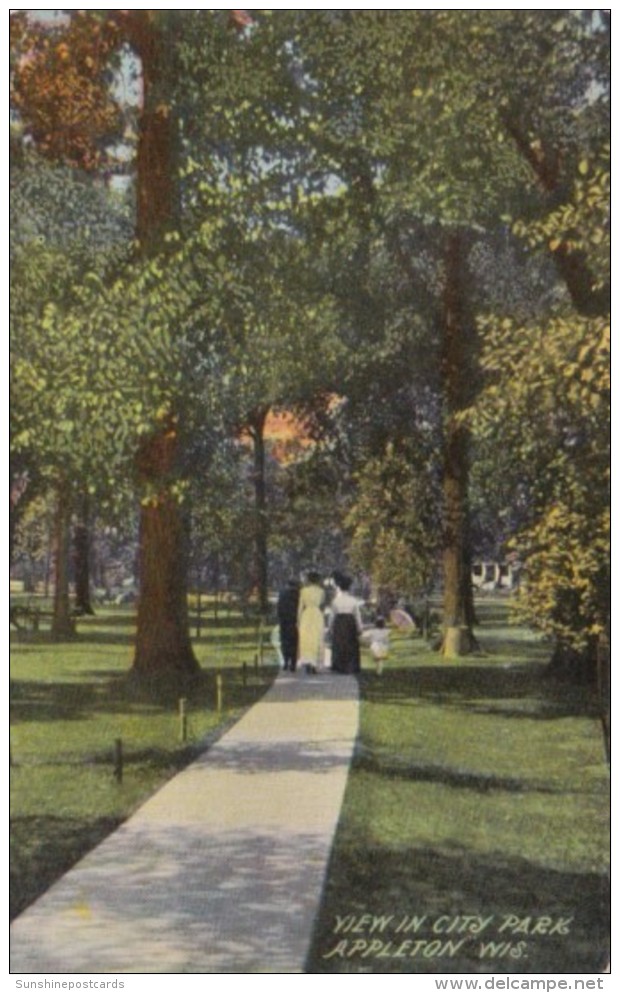 Wisconsin Appleton View In City Park 1916 - Appleton