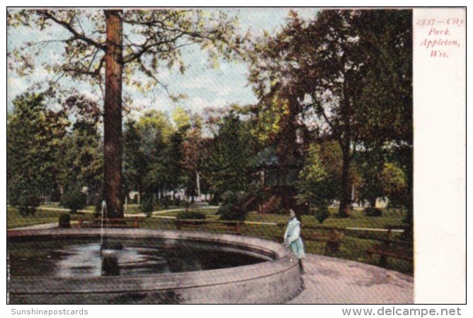 Wisconsin Appleton View In City Park 1906 - Appleton