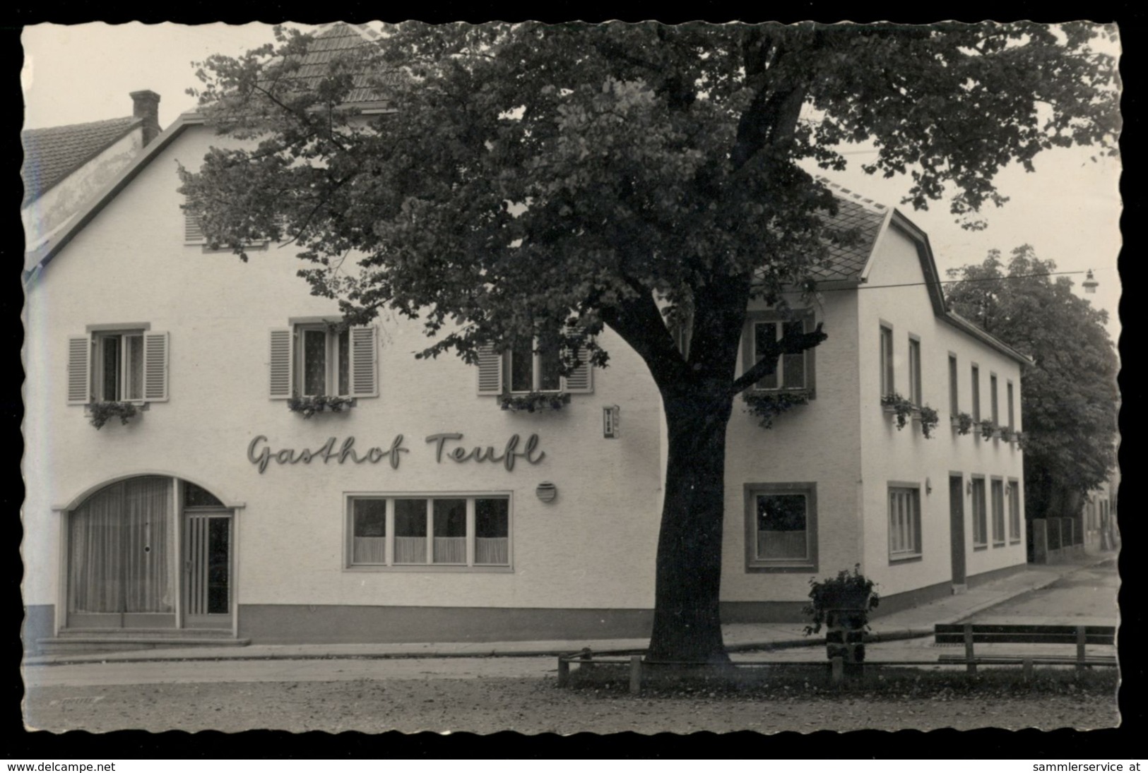 [019] Purgstall, Gasthof Teufl, ~1960. Bez. Scxheibbs, Verlag Roschmann (Purgstall) - Purgstall An Der Erlauf