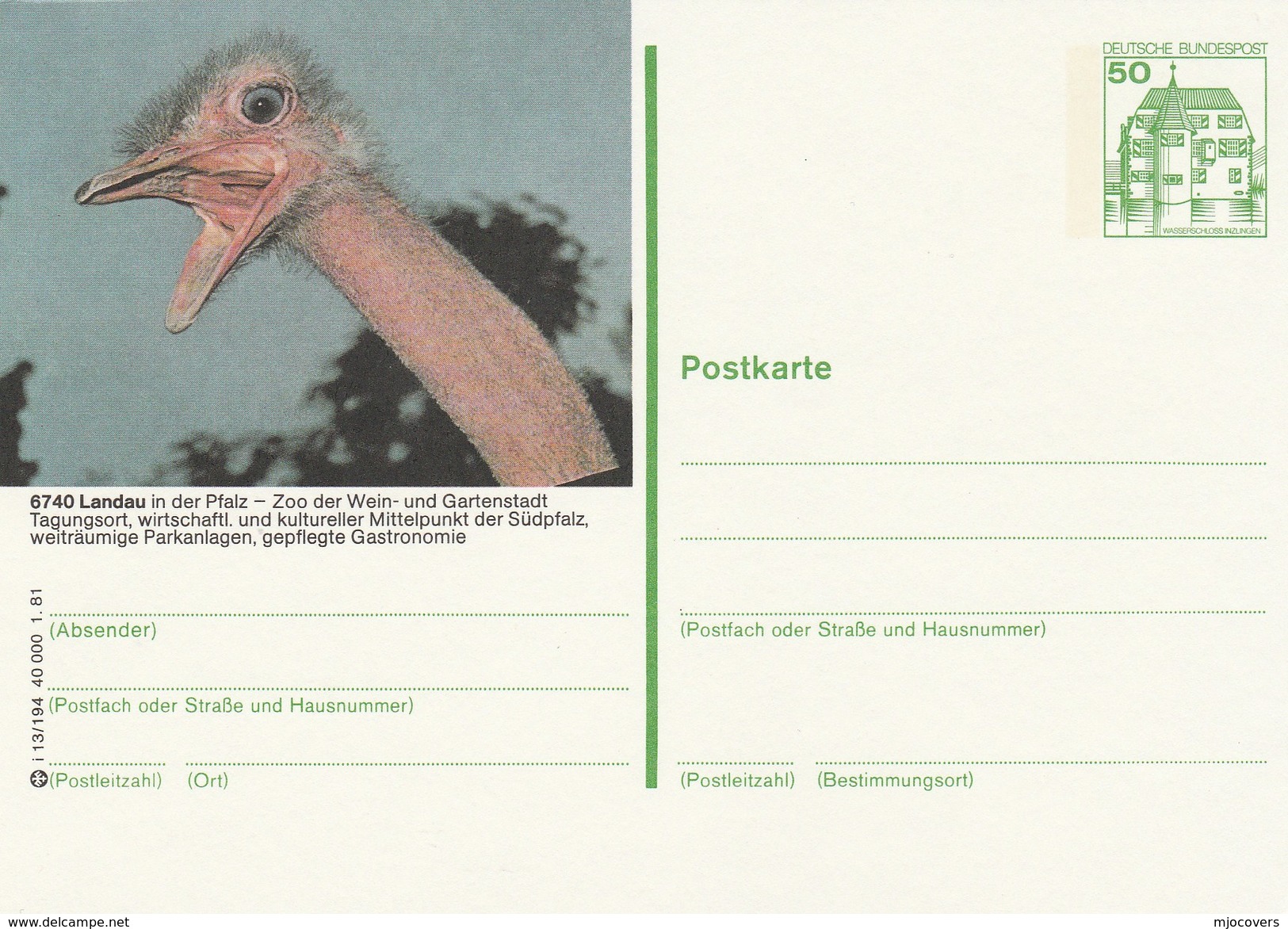 1981 GERMANY Postal STATIONERY CARD Illus OSTRICH At LANDAU ZOO Cover Stamps Ostriches Bird Birds - Straussen- Und Laufvögel