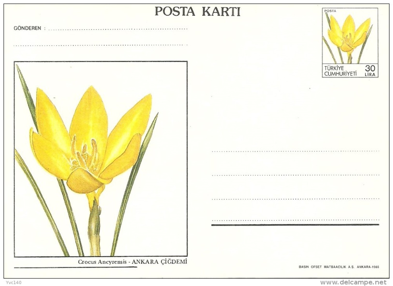 Turkey; 1988 Postal Stationery With The Subject Of Flowers - Entiers Postaux