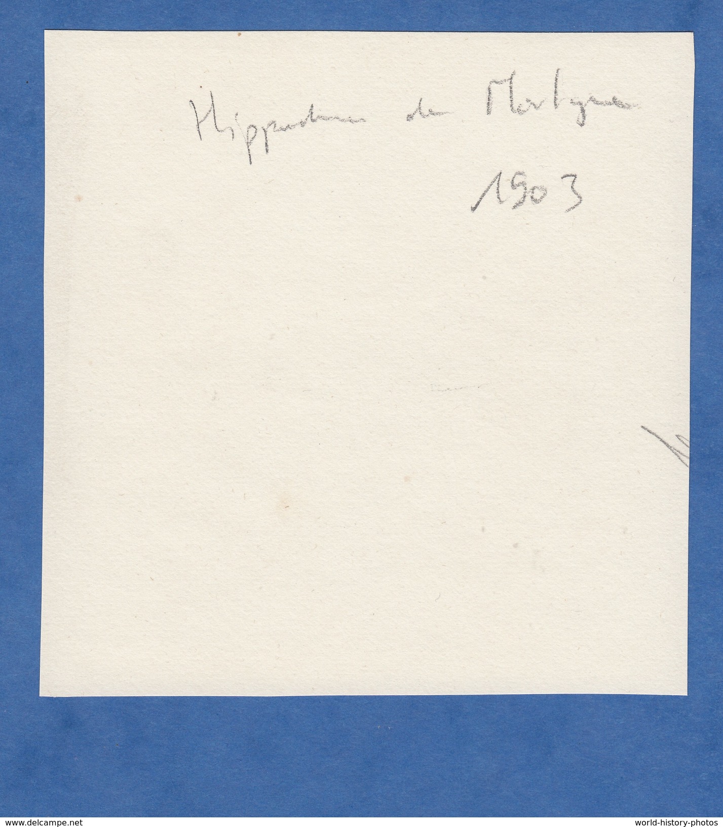 Photo Ancienne - MORTAGNE ( Orne ) - Tribunes De L' Hippodrome - Course Hippique - 1903 - Anciennes (Av. 1900)