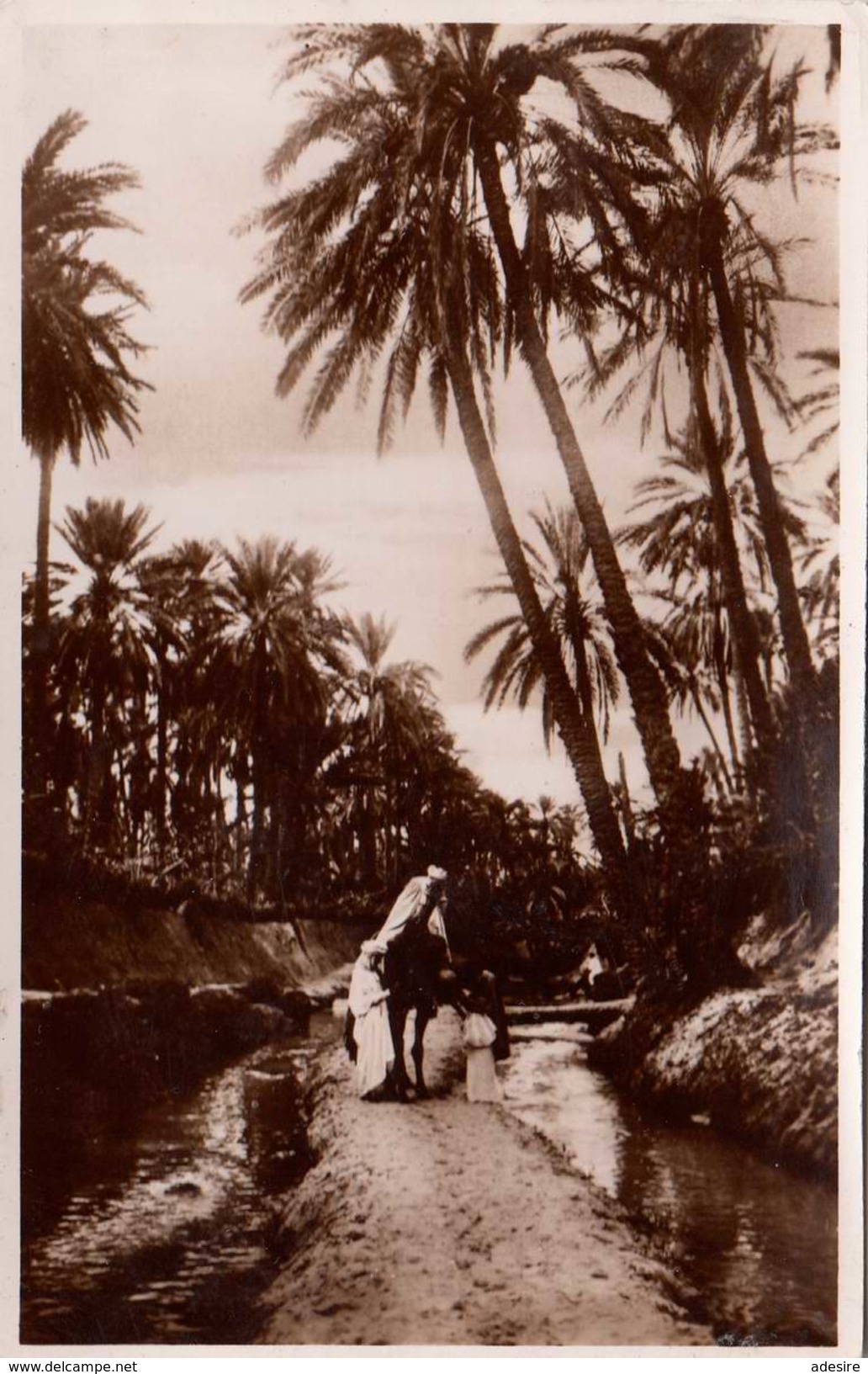 LIBANON 1955 - 2 Sondermarken Auf Ak Flugpost Gelaufen - Libanon