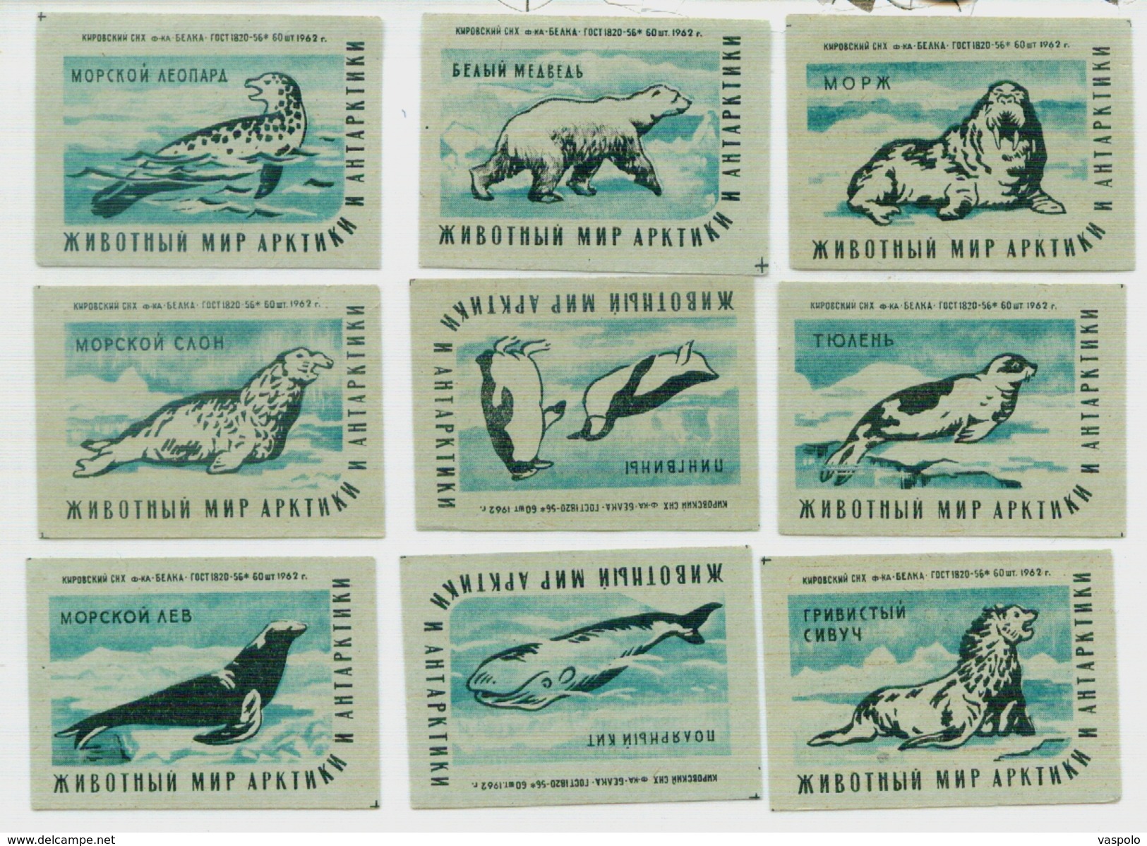 MATCHBOX LABELS RUSSIA CCCP URSS 1960's ANIMALS IN ANTARCTICA AND ARCTICA - Collections