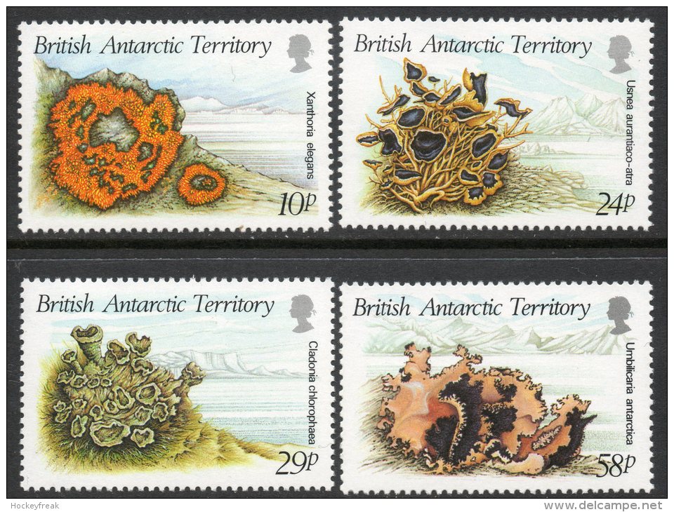 British Antarctic Territory 1989 - Lichens SG167-170 MNH Cat £6.75 SG2015 - Otros & Sin Clasificación