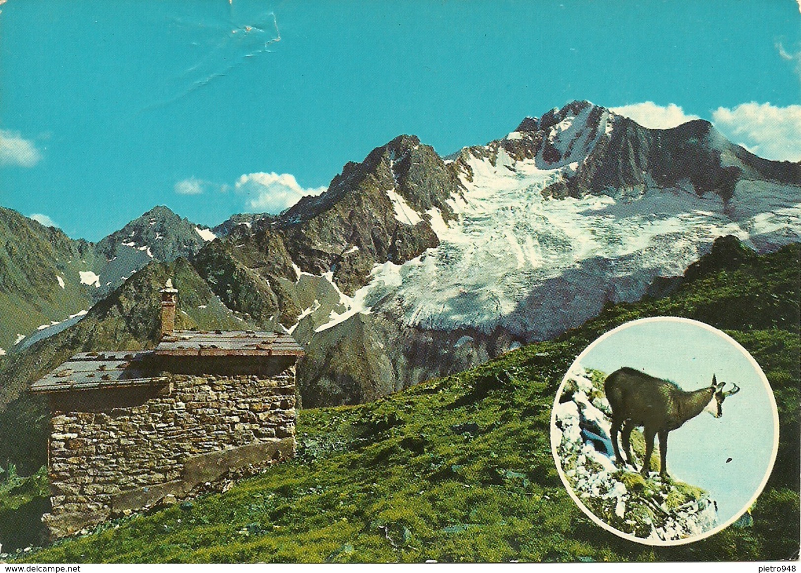 Rifugio Del Grande (Sondrio, Lombardia) Valmalenco, Panorama Estivo, Sul Fondo Parete Nord Del Monte Disgrazia - Sondrio