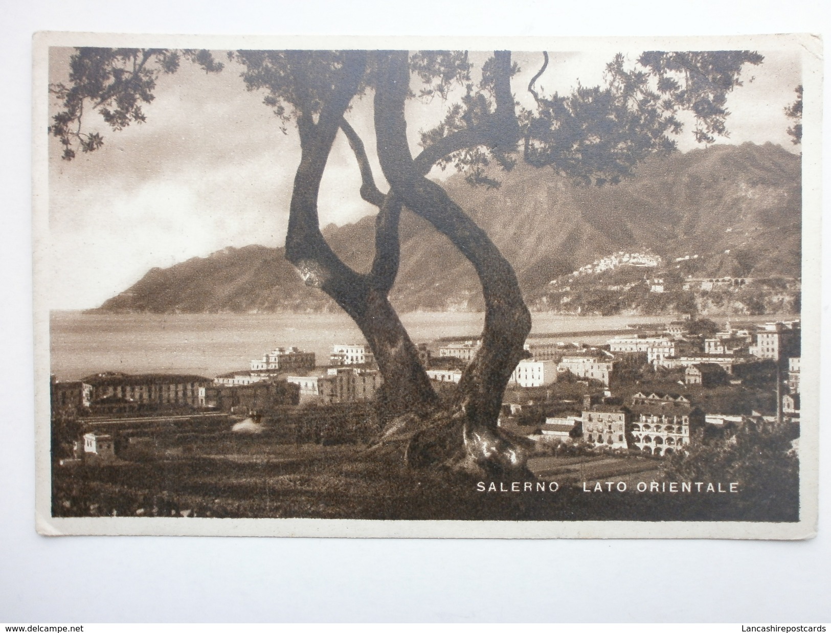 Postcard Salerno Lato Orientale By Cataneo My Ref B1523 - Salerno