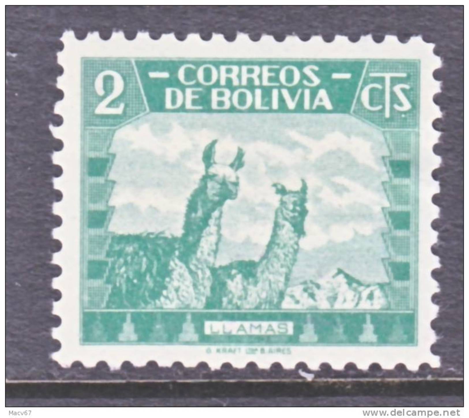 Bolivia 251   *   FAUNA  VICUNA - Bolivia