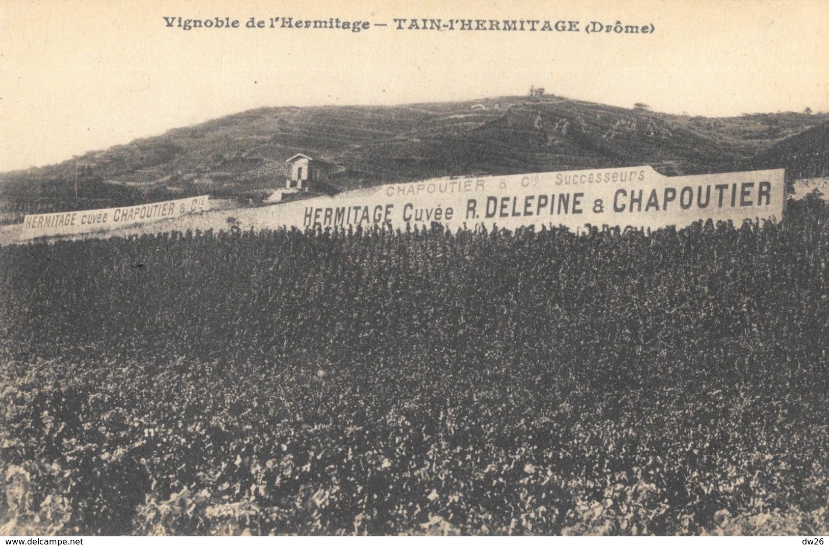 Vignobles De L'Hermitage - Tain L'Hermitage (Drôme) - Publicité Cuvée R. Delepine Et Chapoutier - Carte Non Circulée - Weinberge