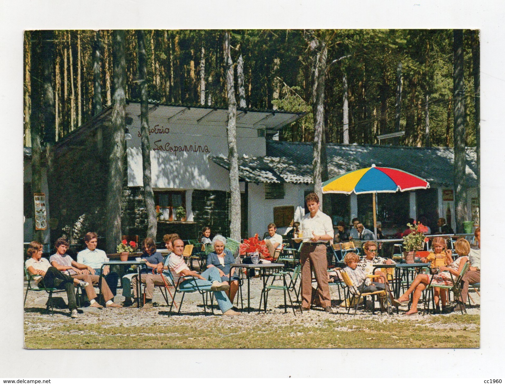 Baselga Di Pinè -Bedolpiano (Trento) - Bar Ristorante " La Capannina" - Animata - Viaggiata Nel 1976 - (FDC2769) - Trento