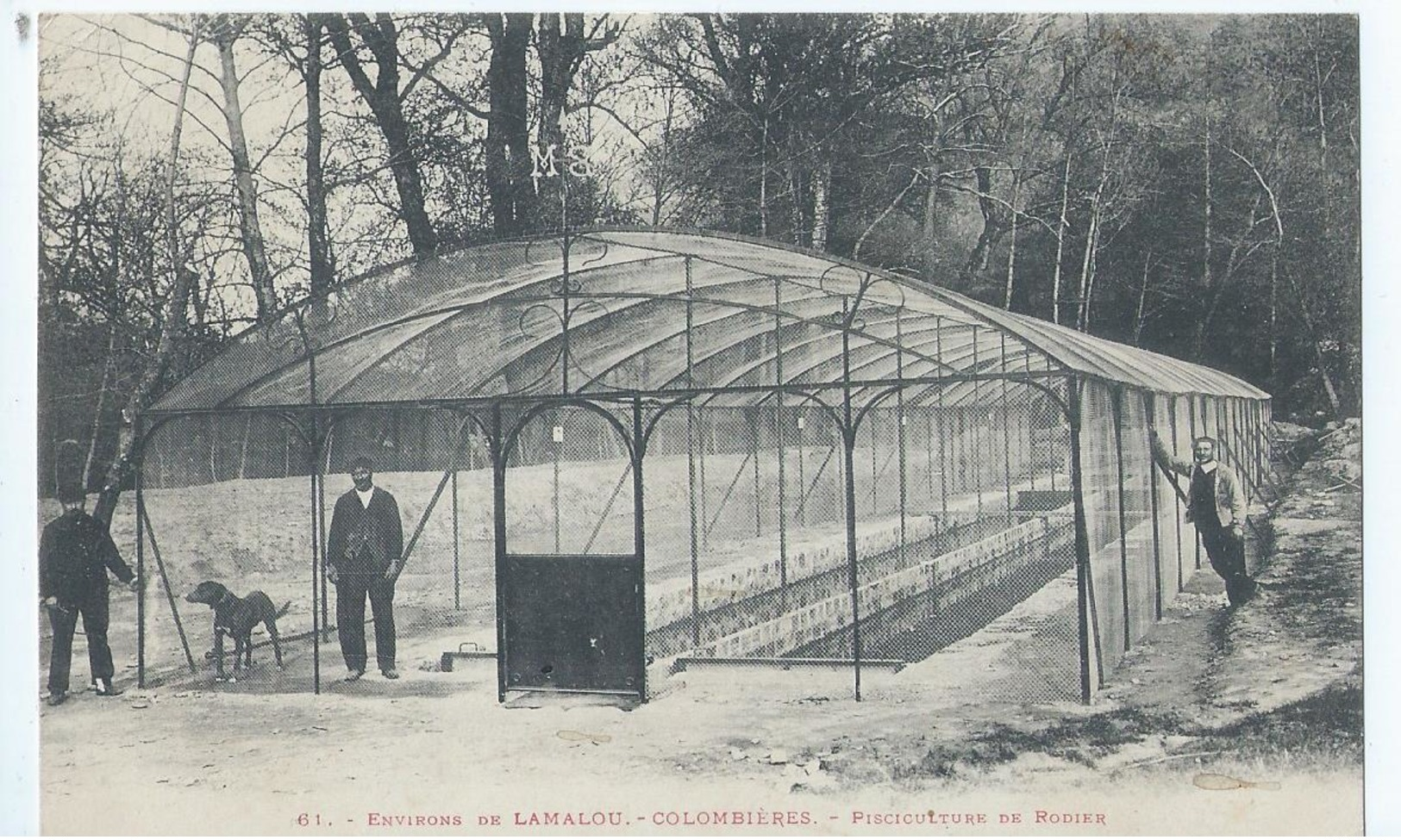 Cpa  -34-     Lamalou-les-bains Piciculture De Rodier 1907 - Lamalou Les Bains