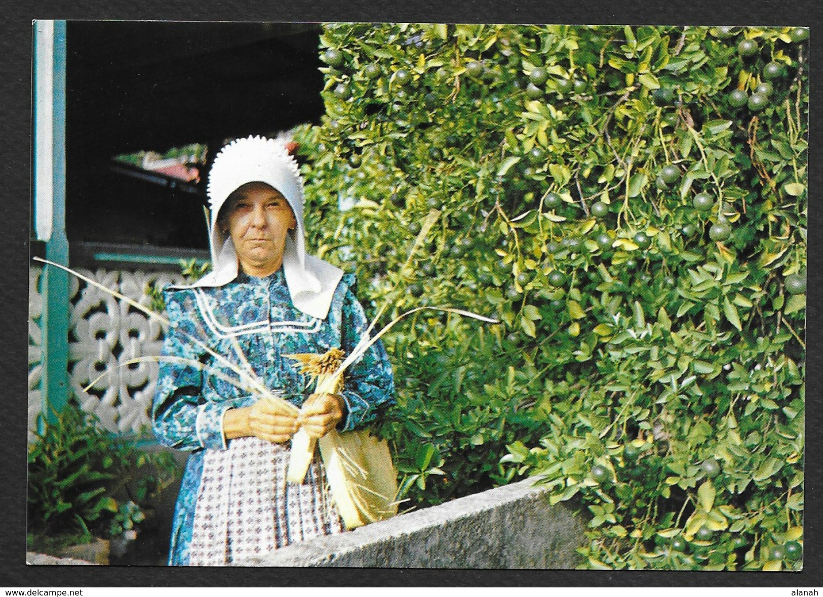 Saint Bartheleminoise En Costume Authentique (Stak Photo) Guadeloupe - Saint Barthelemy