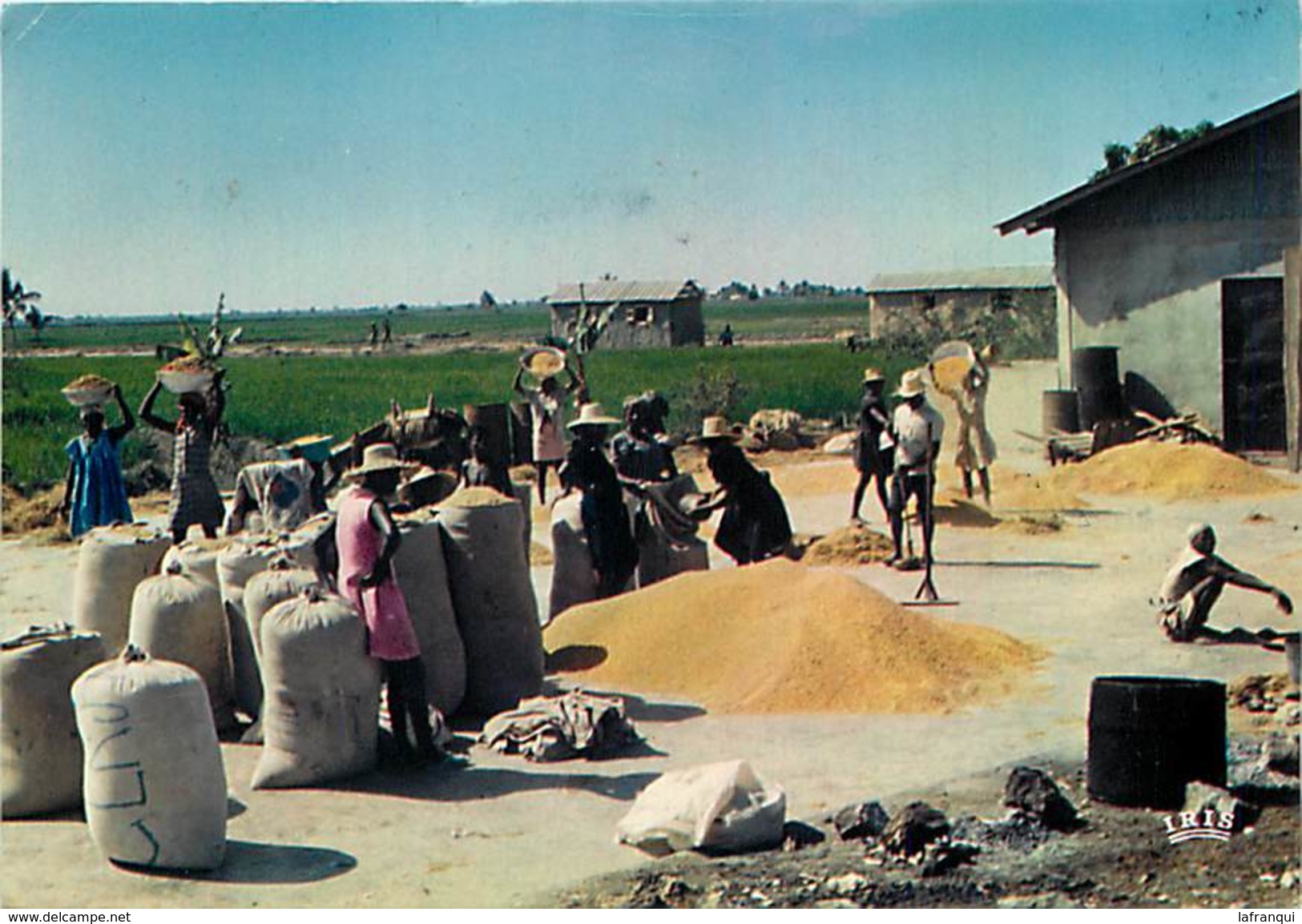 -cpsm -ref :T625- Haiti - Scene De Marché  - Carte Bon Etat  - - Haïti