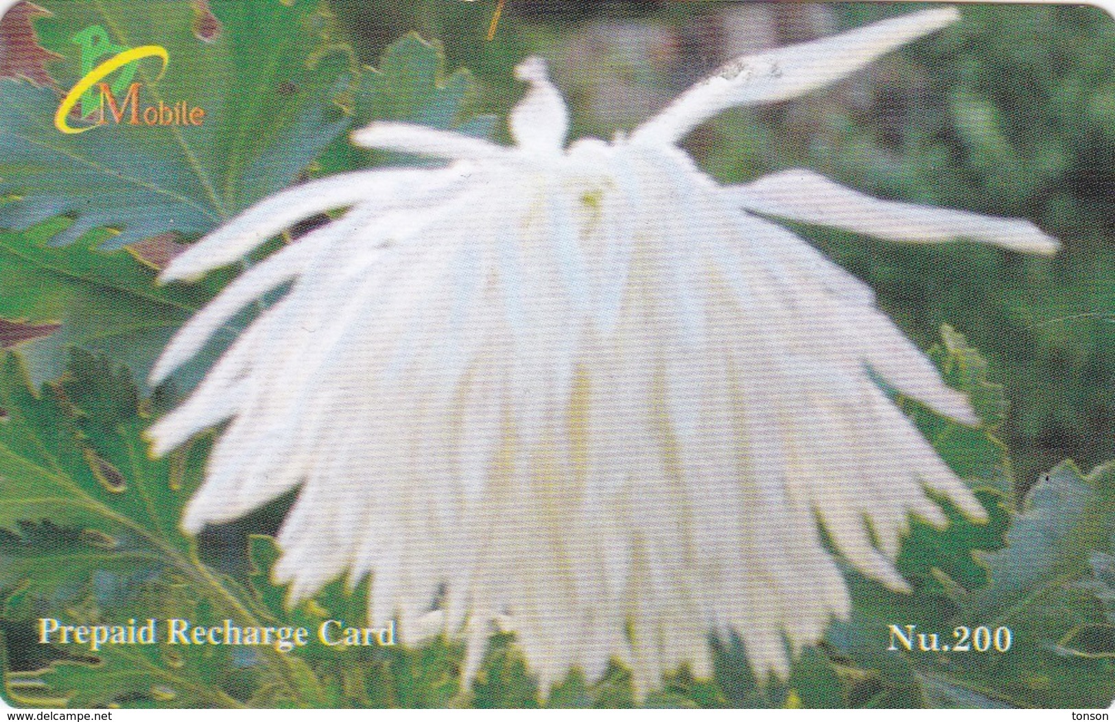 Bhutan, Nu.200 White Flower, 2 Scans. - Bhutan