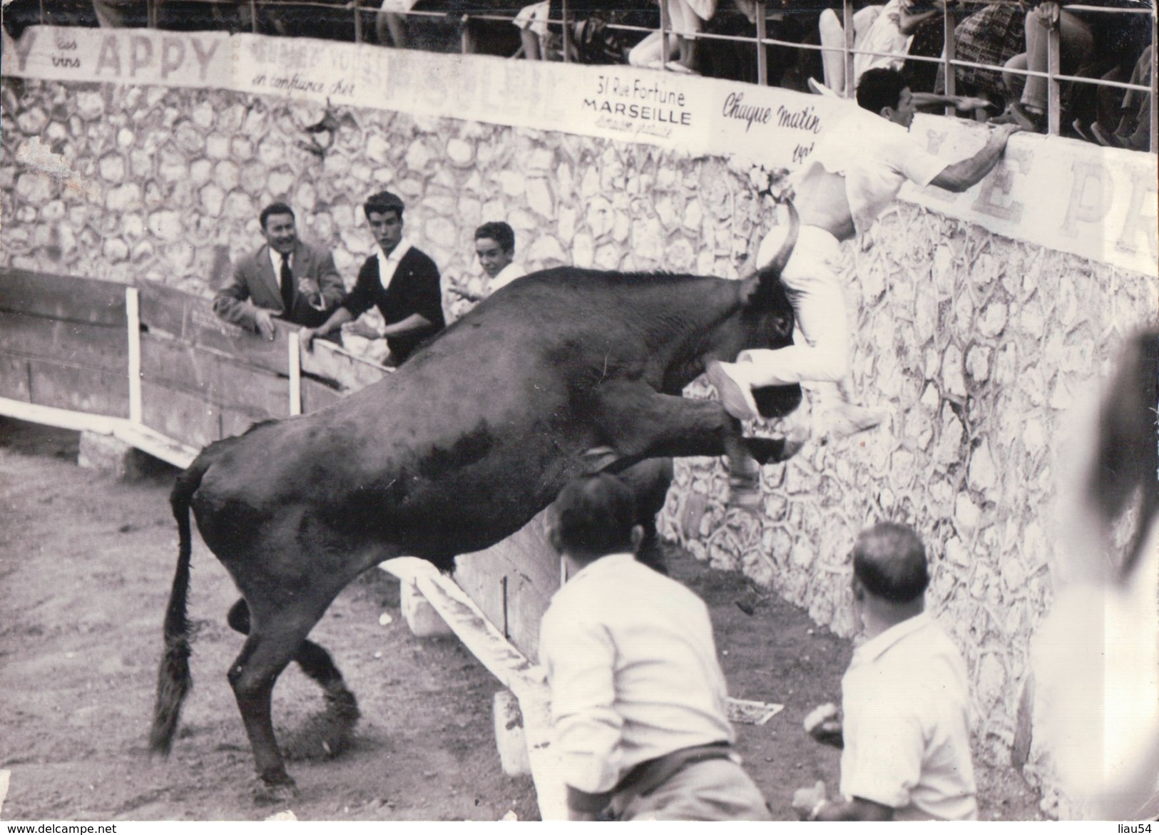 CARTE-PHOTO GEORGE Joffre Sur Soler (Course De Toro, 1965) - Arles