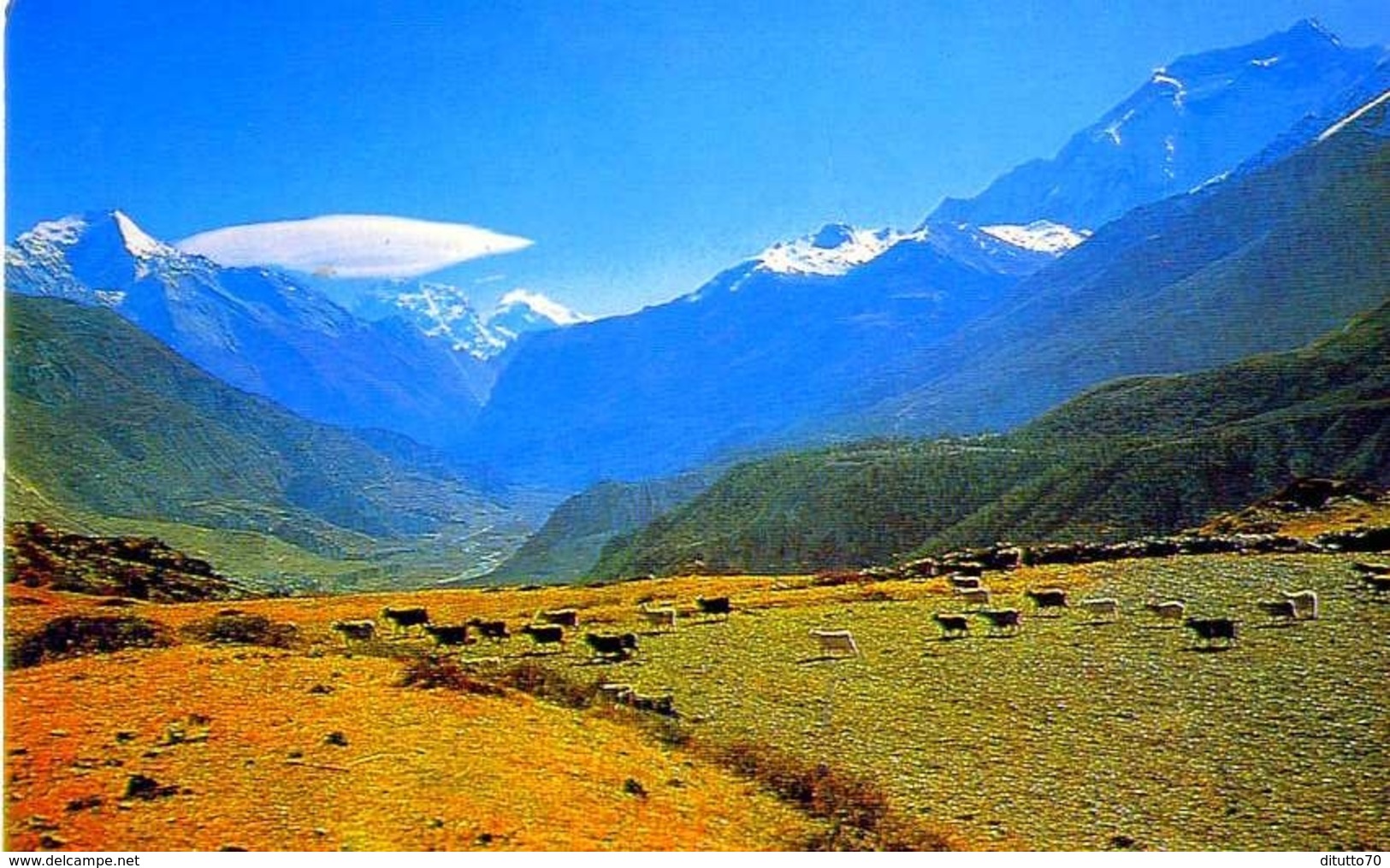 Marshyangdi Balley - Himalaya -  Nepal - 10 - Formato Grande Viaggiata - E - Nepal