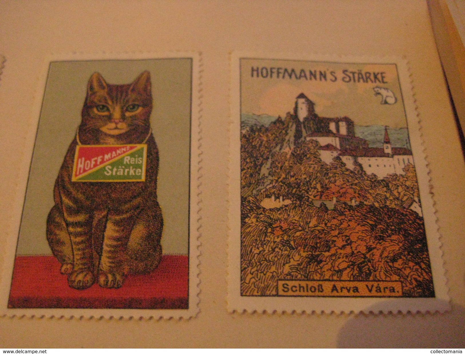 7 Poster Stamp Advertising Litho Hoffmann STARKE Cat Silber Glanz Reis Stärke Litho ART - Erinnophilie