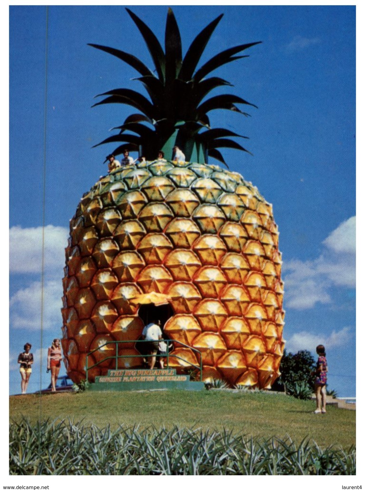 (502) Australia - QLD - Big Pineapple - Sunshine Coast