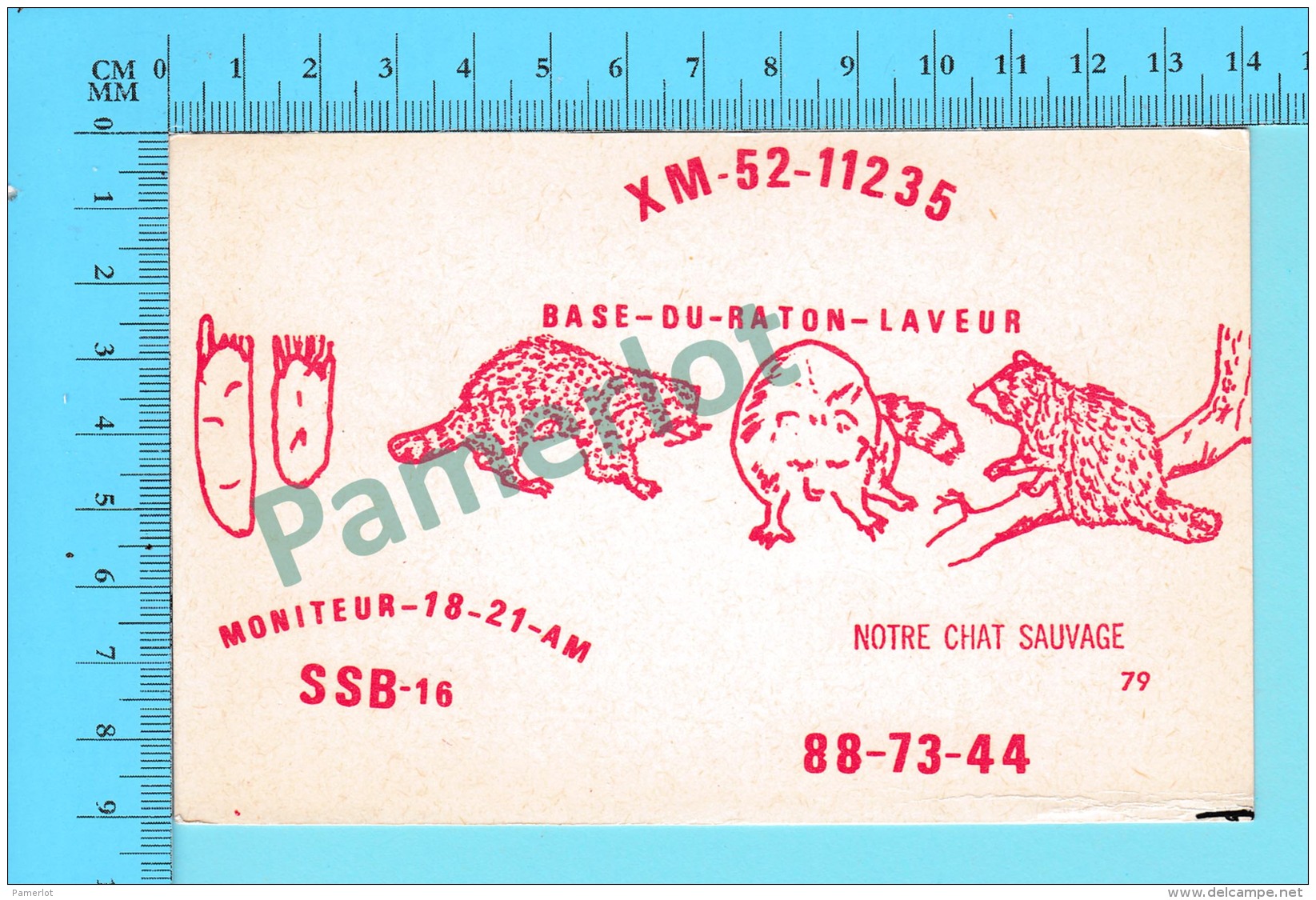 QSL- CB-  Base Du Raton Laveur, Racoon - Montreal Quebec- 2 Scans - CB