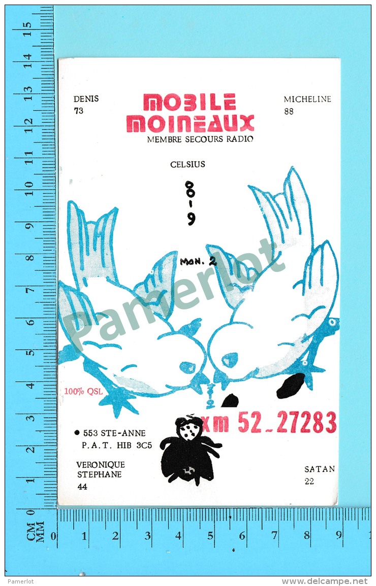 QSL- CB- Mobile Moineaux, Oiseaux  - Montreal  Quebec- 2 Scans - CB