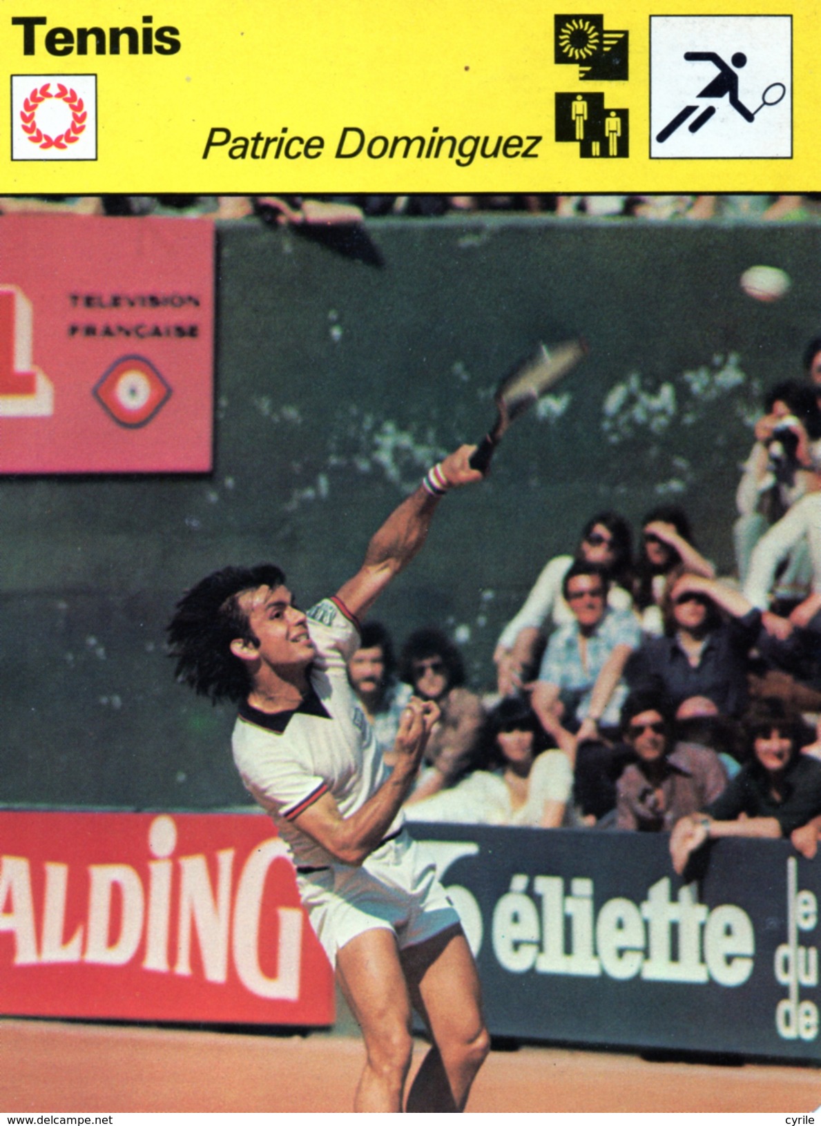 Tennis  ***  Patrice Dominguez - Autres & Non Classés