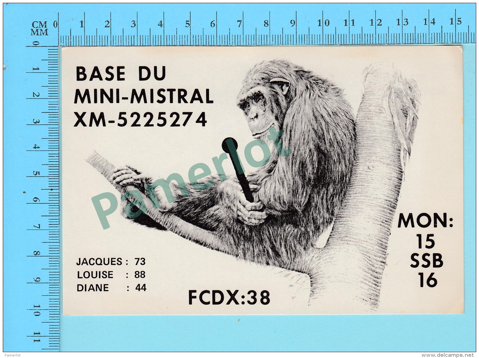 QSL- CB- Base Du Mini-mistral, Singe  - Montreal Quebec- 2 Scans - CB