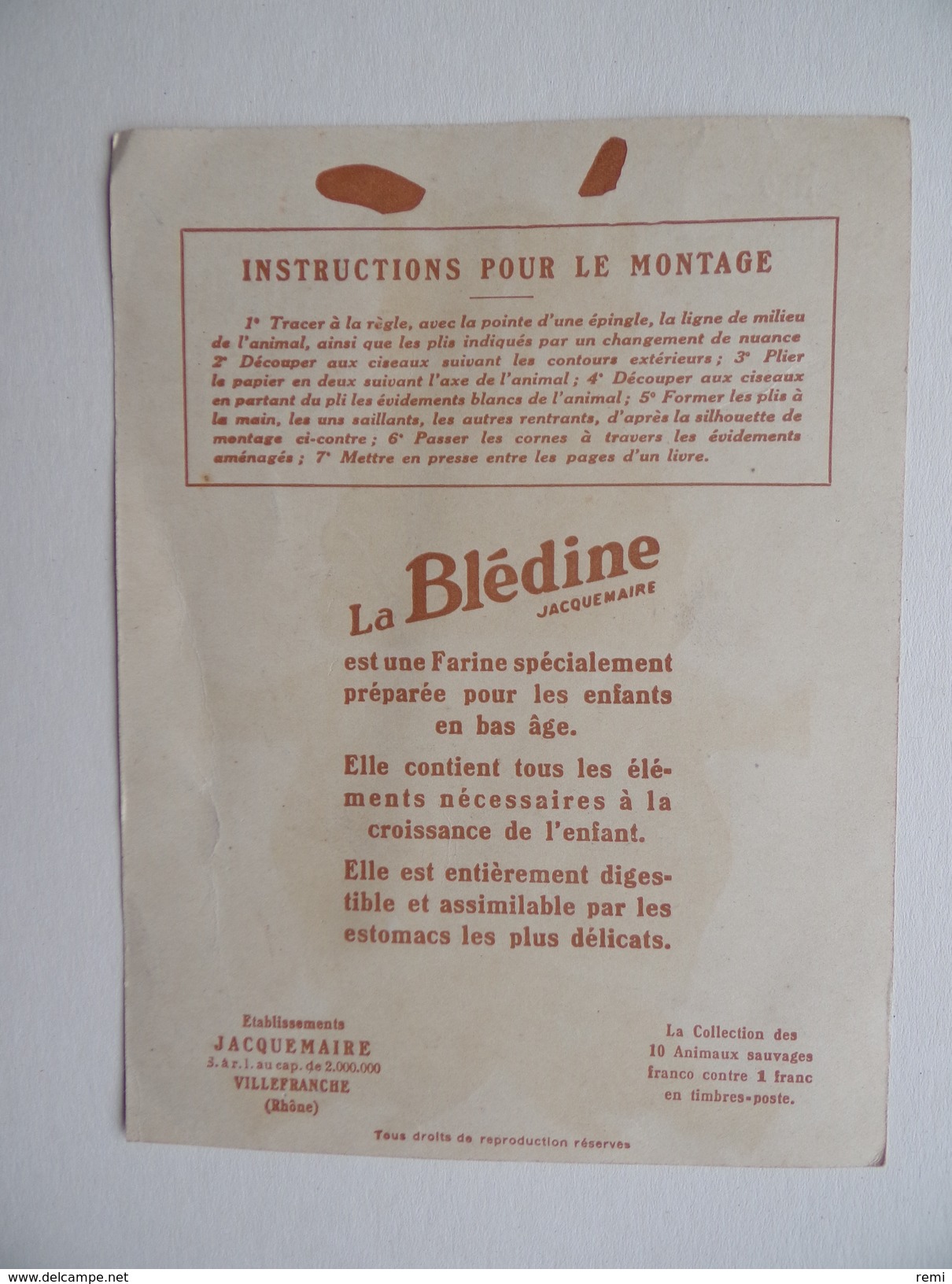 Le RHINOCEROS N° 9 Publicité Blédine JACQUEMAIRE à VILLEFRANCHE-Sur-SAÔNE - Reclame