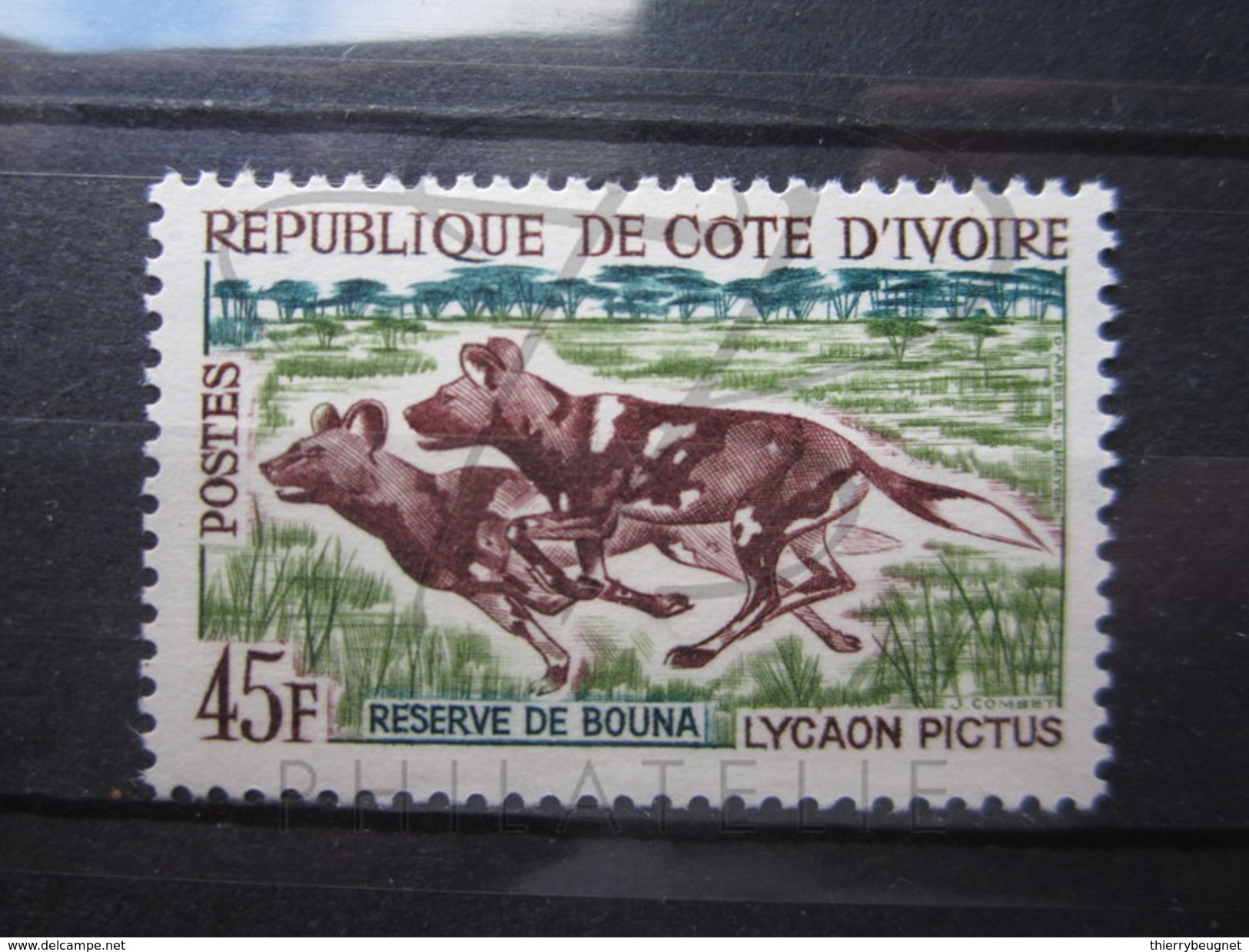 BEAU TIMBRE DE COTE D ' IVOIRE N° 219 , XX !!! - Côte D'Ivoire (1960-...)