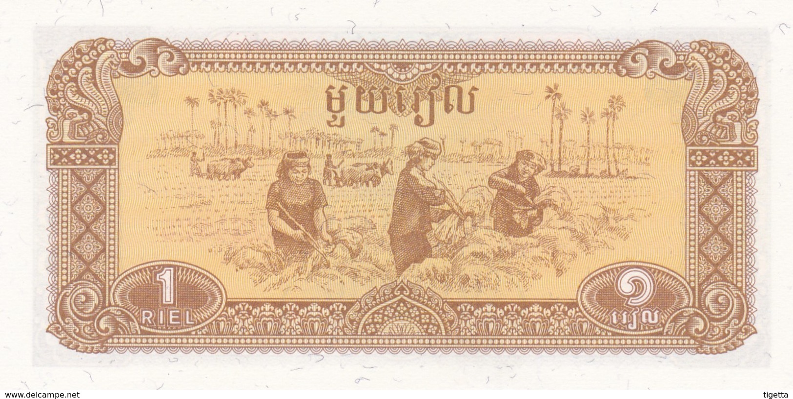 CAMBOGIA 1 RIEL 1979 FDS - Cambodia