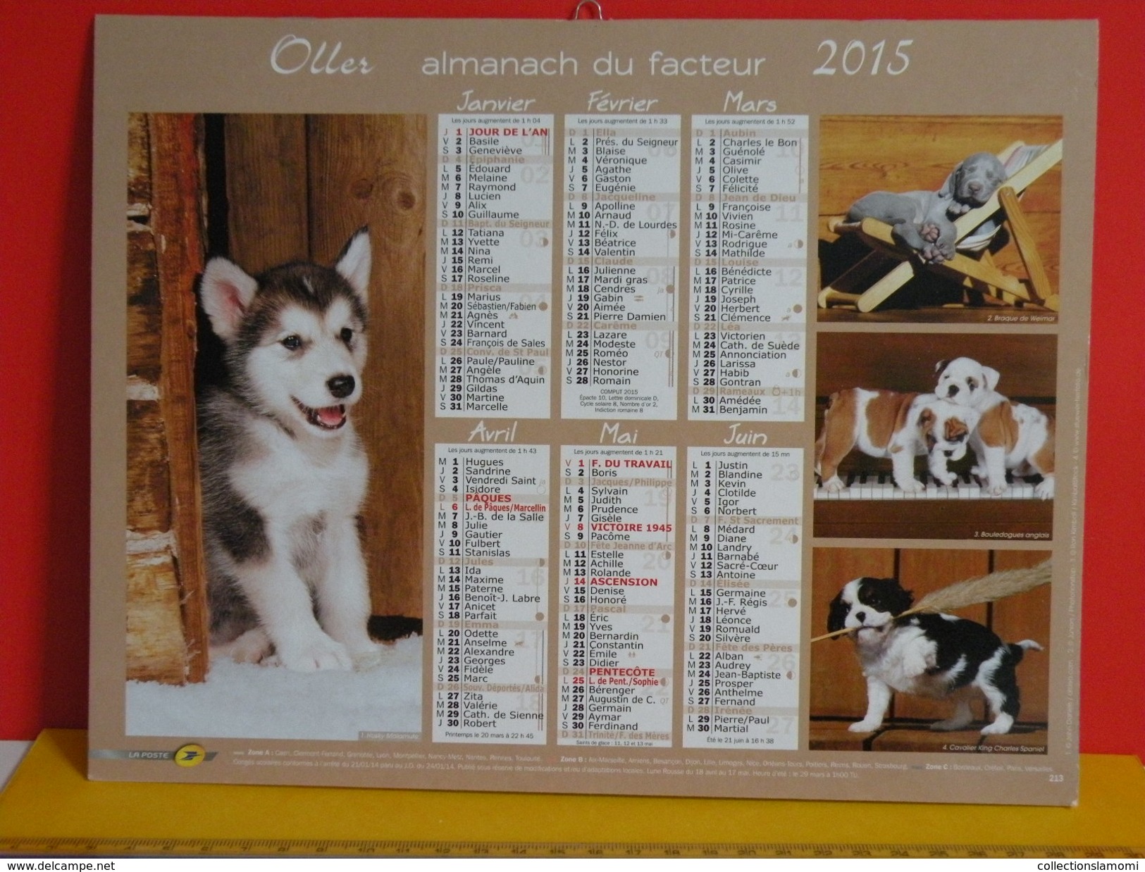 Calendrier Oller > Husky,Braque,Bouledogue,Cavalier King,Chihuahua,Bichons,Golden - Almanach Facteur 2015 Comme Neuf - Grand Format : 2001-...