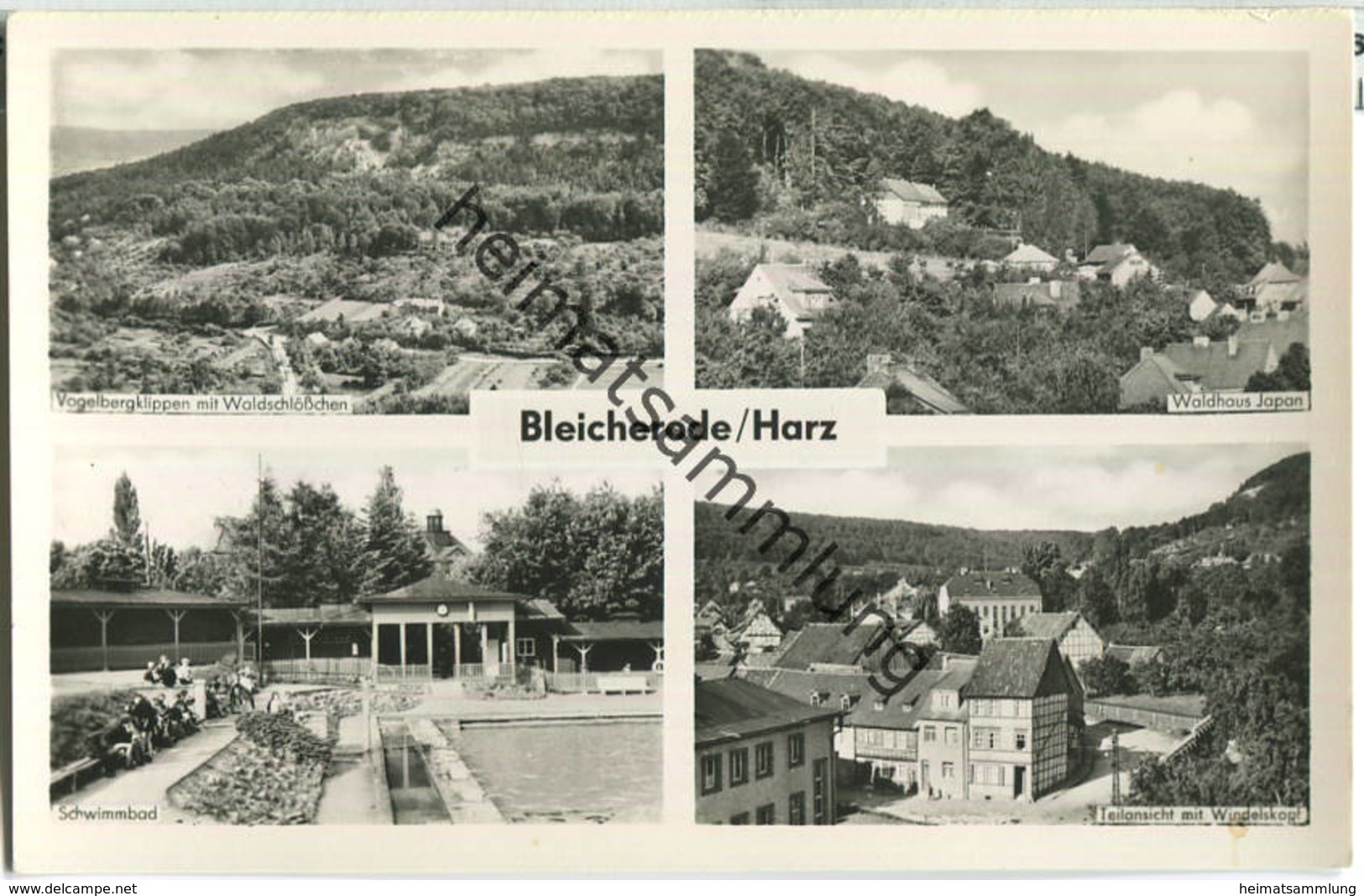 99752 Bleicherode - Waldhaus Japan - Schwimmbad - Foto-Ansichtskarte - VEB Bild Und Heimat Reichenbach 1959 - Bleicherode