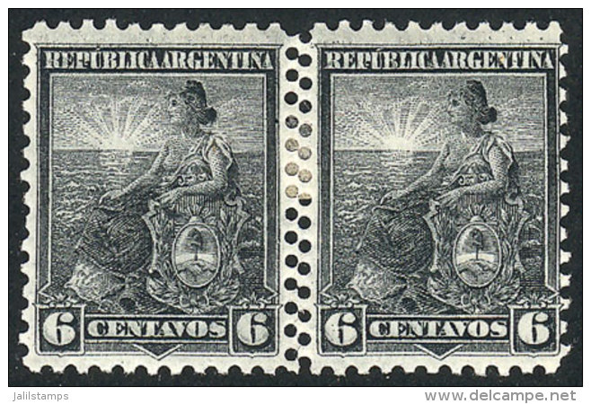 GJ.223, 1899 6c. Liberty, Pair With DOUBLE VERTICAL PERFORATION In The Center, Rare! - Autres & Non Classés