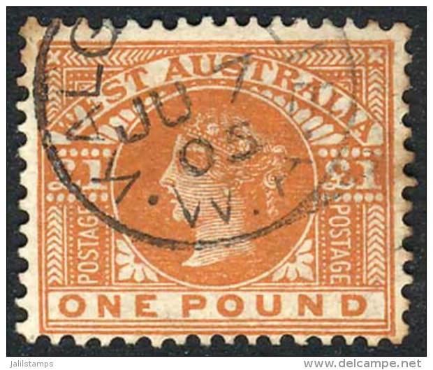 Sc.88, 1902/5 1&pound; Orangish Chestnut, Used, VF, Catalog Value US$325. - Ongebruikt