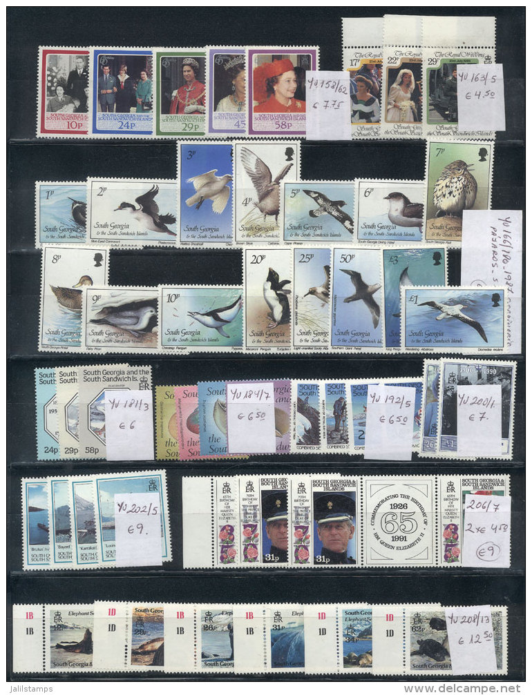 DEPENDENCIES: Lot Of Modern Stamps And Sets On 2 Stock Pages, All MNH And Of Excellent Quality, Classified With... - Falklandeilanden