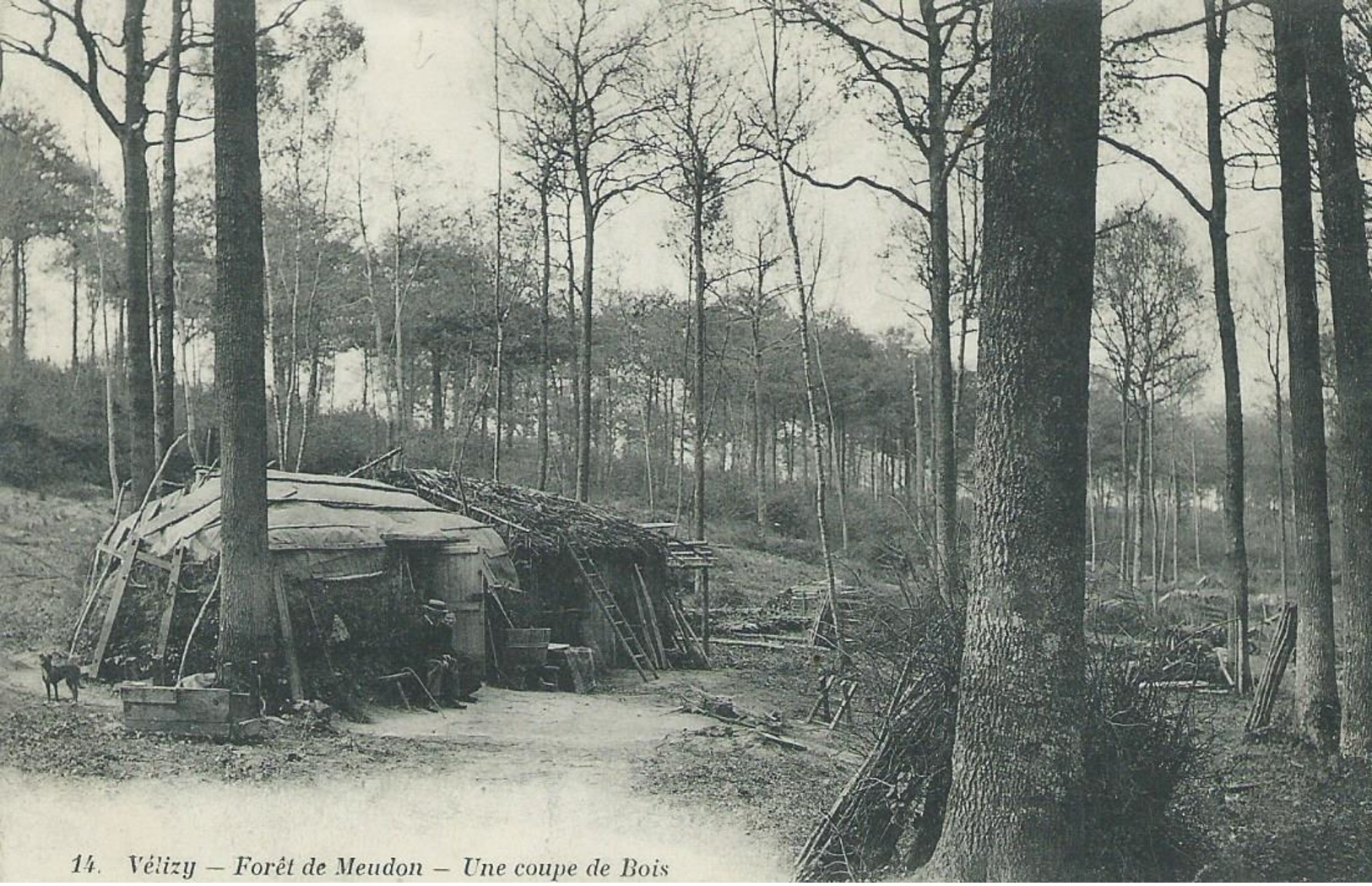 78, Yvelines, VELIZY, Forêt De Meudon, Une Coupe De Bois,Cabane De Bucheron,Personnages,Scan Recto-Verso - Velizy