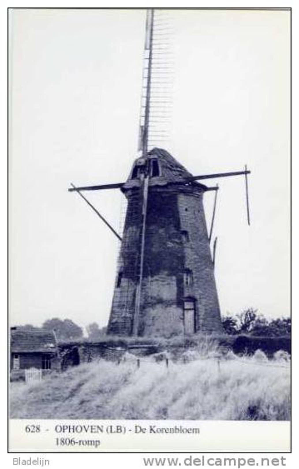 OPHOVEN Bij Kinrooi (Limburg) - Molen/moulin - Blauwe Postkaart Ons Molenheem Van Molen ´De Korenbloem´ In Verval - Kinrooi