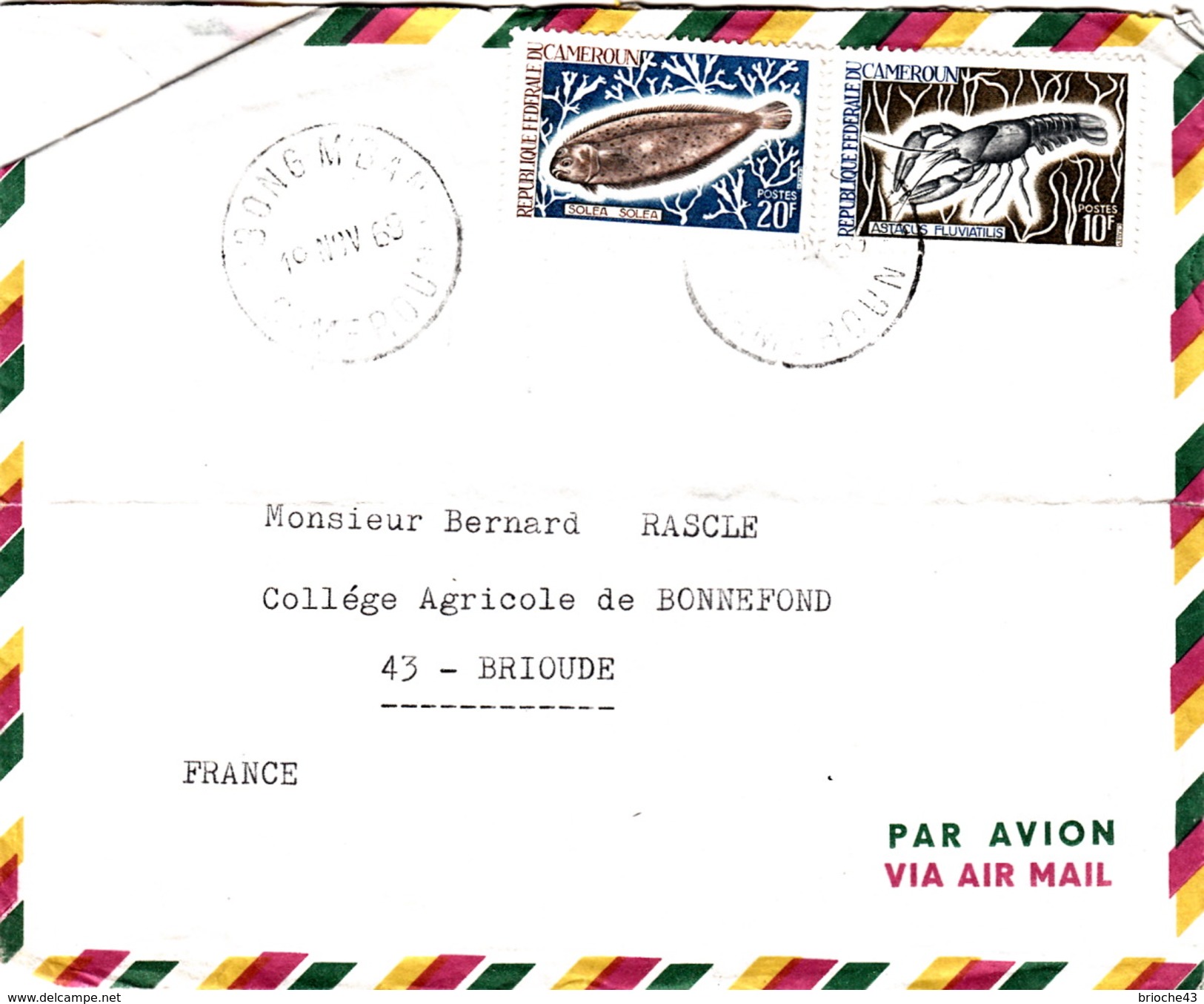 CAMEROUN  - COVER  ABONG MBANG POUR BRIOUDE 19.11.69 - SOLEA - ASTACUS FLUVIATILIS - Marine Life