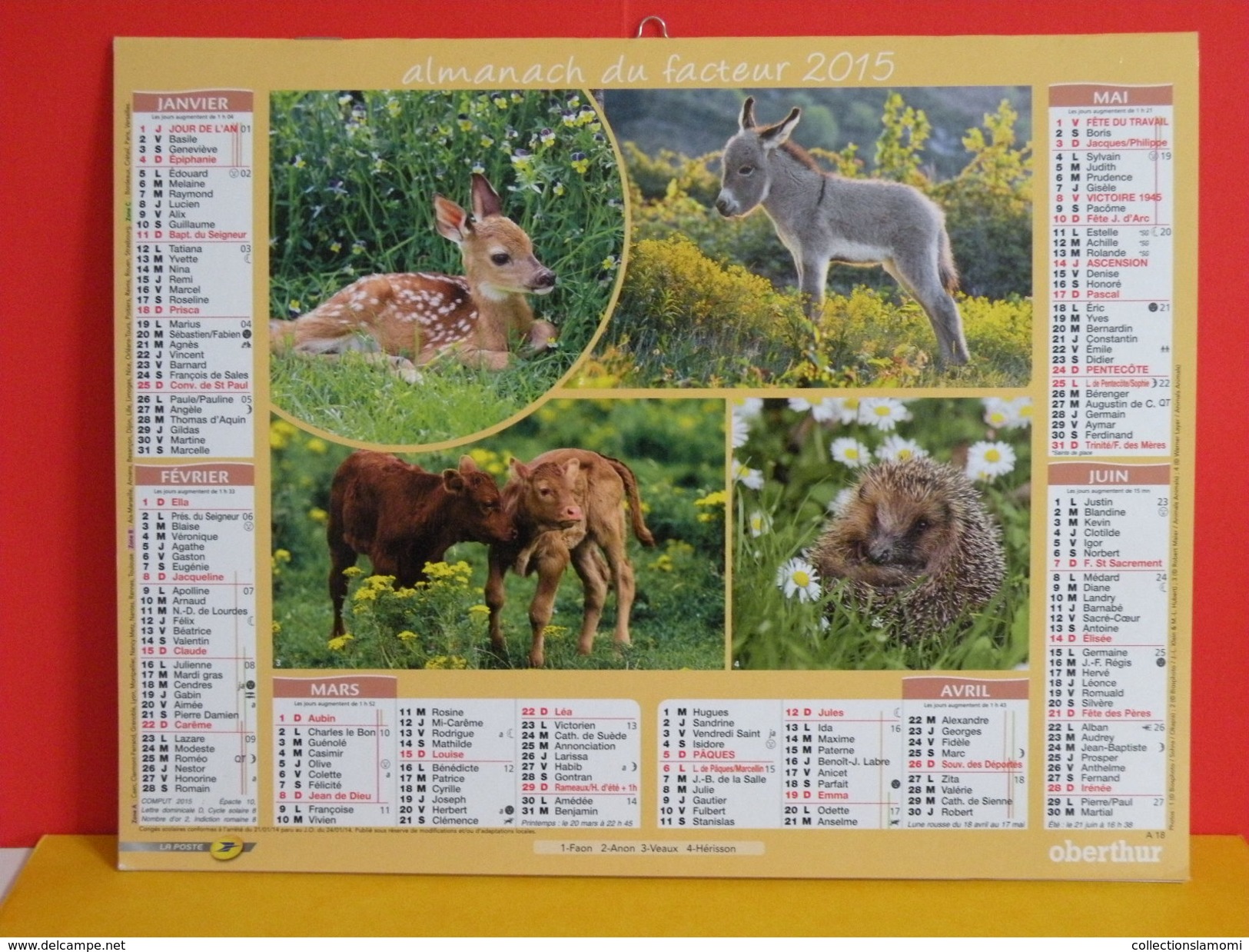 Calendrier Oberthur > Faon,Anon,Veaux, Hérison,Renardeau,Agneau,Lapin,Poney - Almanach Facteur 2015 Comme Neuf - Grand Format : 2001-...