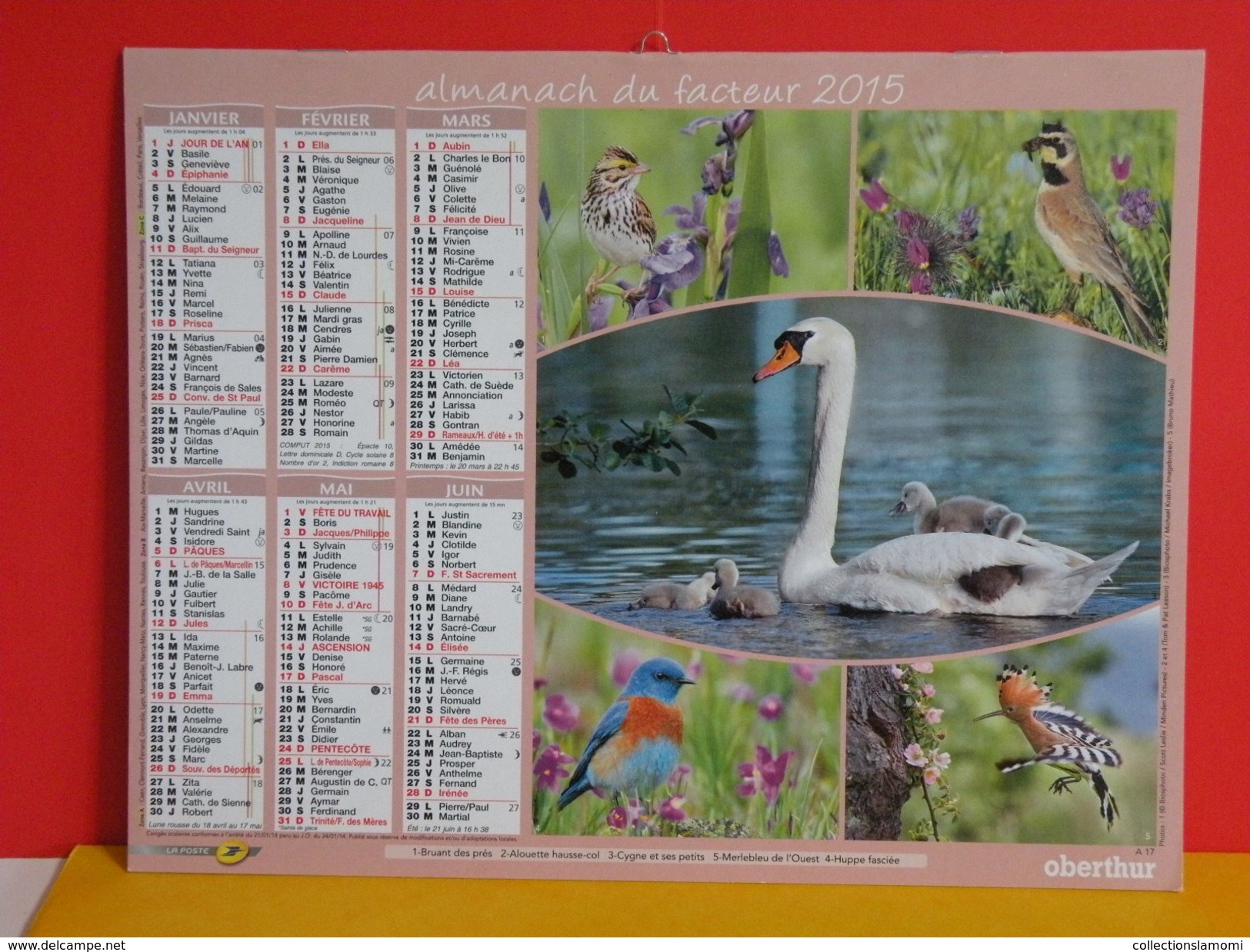 Calendrier Oberthur >Bruant Des Près,Alouette,Cygne,Merlebleu,Huppe,Colibri,Guêpier - Almanach Facteur 2015 Comme Neuf - Grand Format : 2001-...