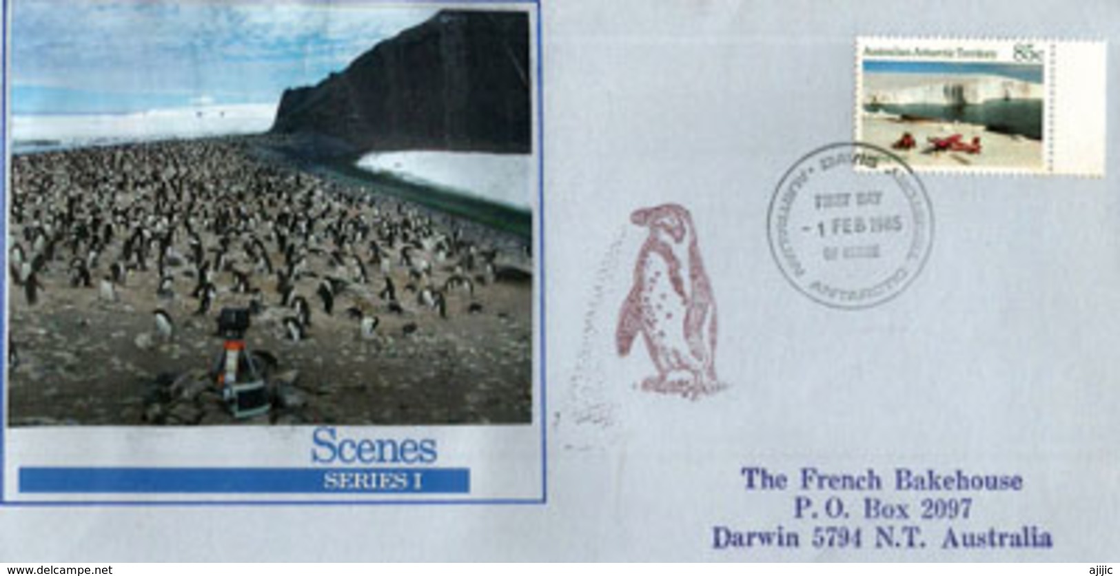 Wilkins Runway (aerodrome) & Adèlie Penguin Colonies , Letter From Davis Station 1985, Addressed To Australia - Lettres & Documents